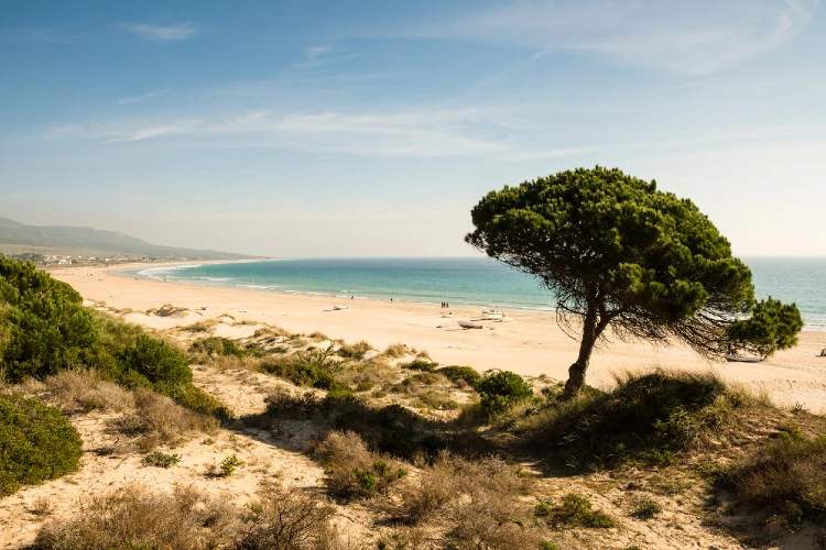 Bolonia beach close to Tarifa in Costa de la Luz, Andalusia, Southern Spain.