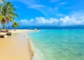 coffee tours around the world Beautiful lonely beach in caribbean San Blas island, Kuna Yala. Panama Sunshine