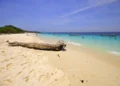 coffee tours around the world Isla Iguana, Azuero, Panama