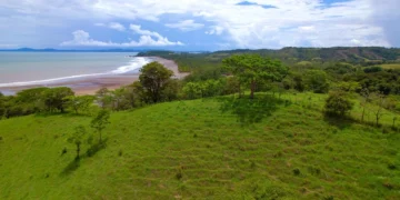 Green meadow with amazing view of tropical beach by the Pacific Ocean
