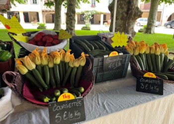 Zucchinis and their blossoms at Fourcès market. Pastoral Life In Southern France