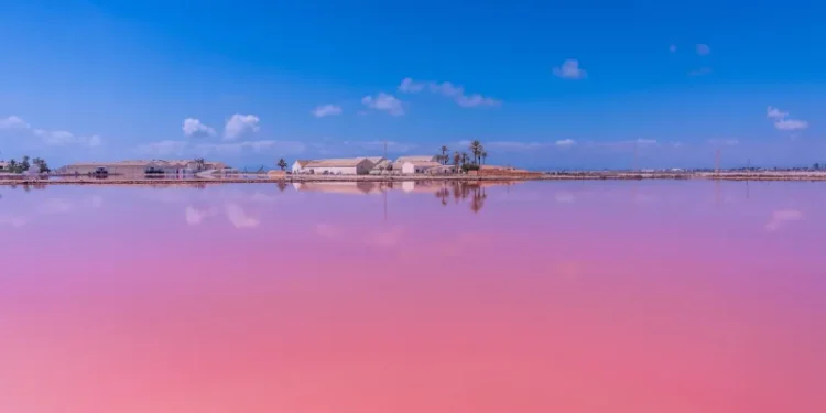 San Pedro Del Pinatar, Murcia, Spain