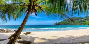 Tropical Beach. Sandy beach with palm and turquoise sea. Summer vacation