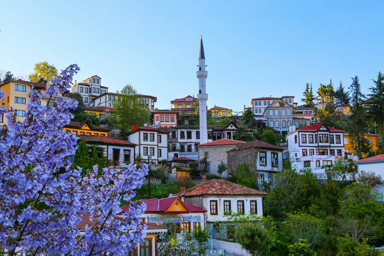 Sunny day and old trabzon houses in Turkey