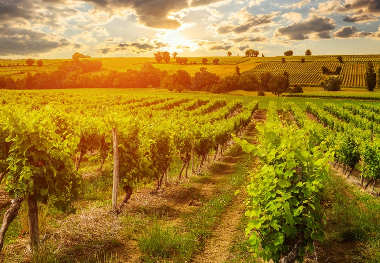 Sunset in Gascony France