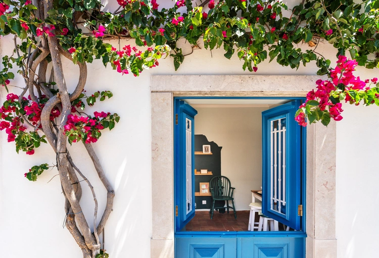 white walls, blue windows in a house