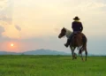 Cowboy and horse at first light,mountain, river and lifestyle with natural light background