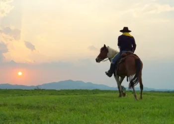 Cowboy and horse at first light,mountain, river and lifestyle with natural light background
