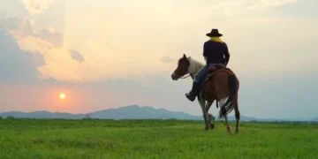 Cowboy and horse at first light,mountain, river and lifestyle with natural light background