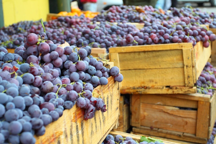 Red grapes at the local market in Valparaiso Chile