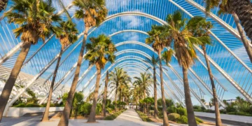 Umbracle modern palm tree park in Valencia, Spain.