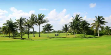palm trees in a golf course in Mexico. golfing havens