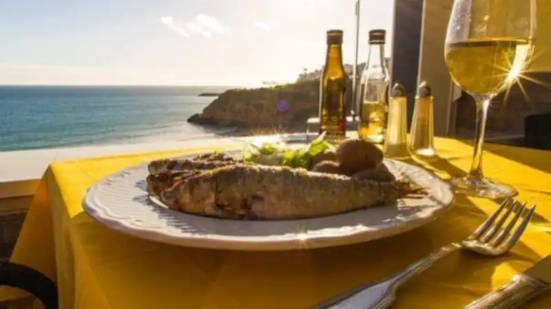 Grilled fish served with potatoes and salad