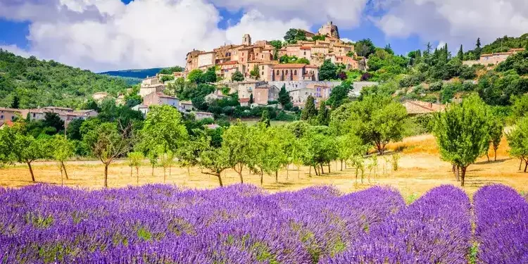 Planted fields in France. europe top haven