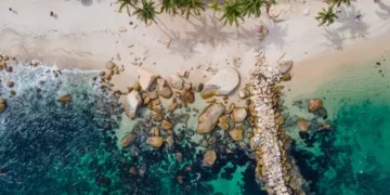 Aerial view of a beach in Puerto Vallarta Jalisco. mexico real estate real estate in mexico