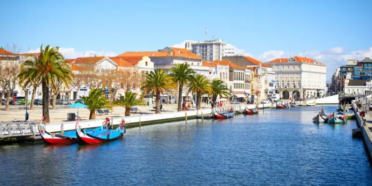 Traditional boats
