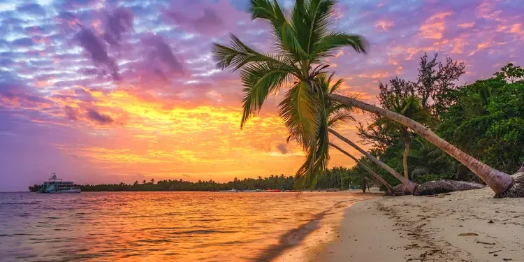 Beautiful sunrise over tropical beach and palm trees in the Dominican Republic. caribbean haven Best Countries To Own A Second Home