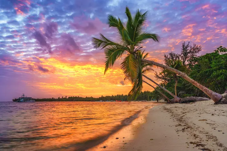 Beautiful sunrise over tropical beach and palm trees in the Dominican Republic. caribbean haven Best Countries To Own A Second Home