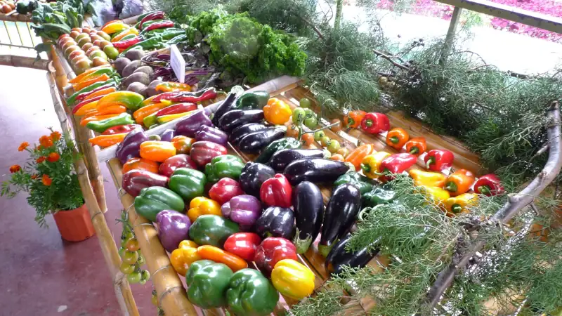 Fresh fruit and vegetables for sale in the market in Boquete, Panama