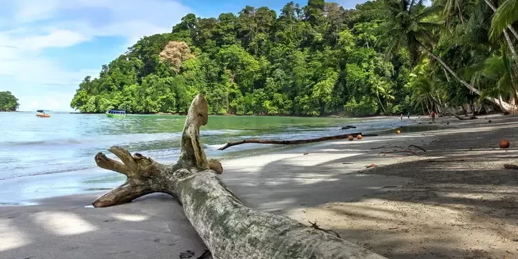 Beach on Isla Parida, Panama