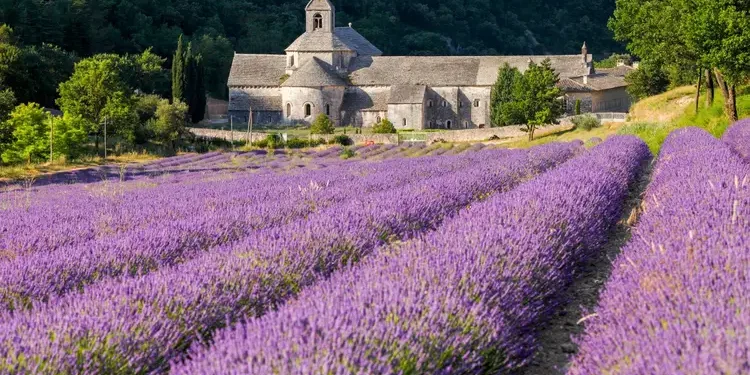 France is among Europe's Best Expat Havens