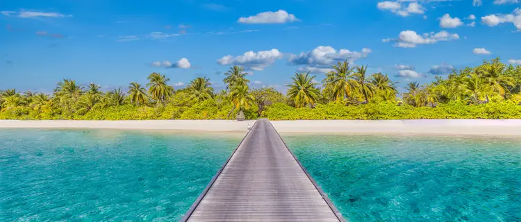Tranquil landscape. Exotic beach shore, azure sea bay wooden pier bridge into paradise island. Palm trees sunny sand and blue sky.