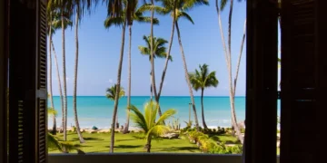 palm trees and view from a beach.