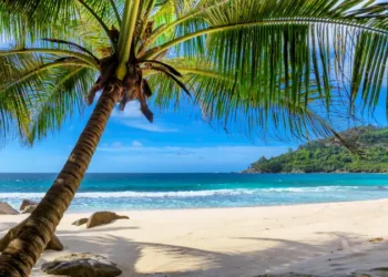 Tropical Beach. Sandy beach with palm and turquoise sea. Summer vacation and tropical beach concept.