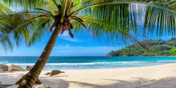 Tropical Beach. Sandy beach with palm and turquoise sea. Summer vacation and tropical beach concept.