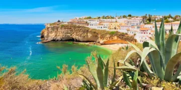 sunny coastal scene with cliffs, turquoise water, and a hillside town of white and pastel buildings, viewed through agave plants in the foreground.