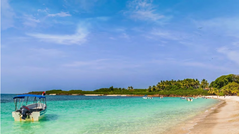 Iguana Island Near the Cost Of Pedasi