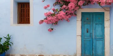Pink blossom over a blue door.