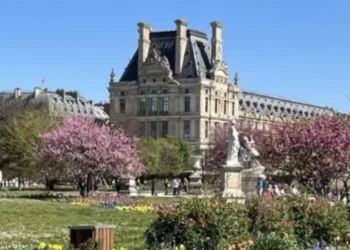 The gardens of the Tuileries