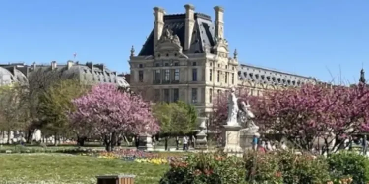 The gardens of the Tuileries