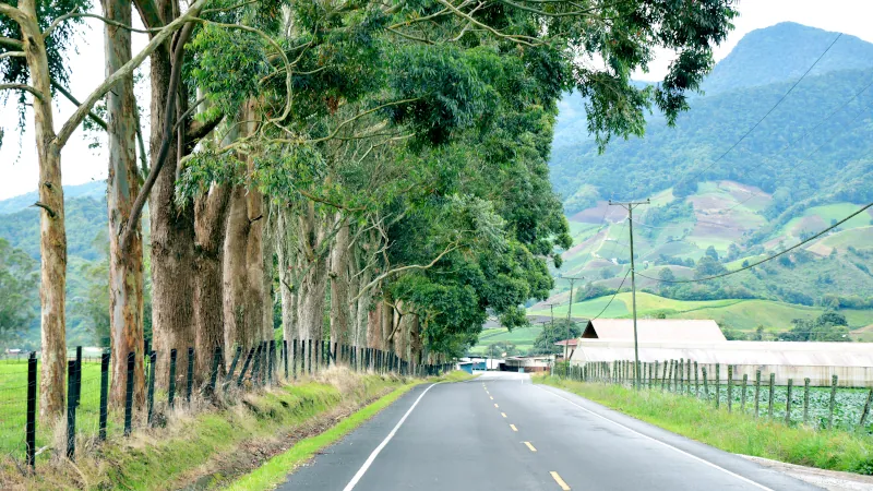 Rural Road To Volcan, Chiriqui Province Panama