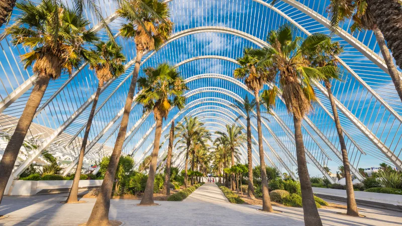 Umbracle modern palm tree park in Valencia, Spain.