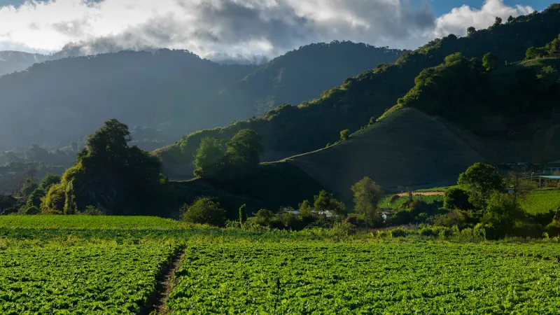 Farmland in Cerro Punta, Chiriqui, Panama