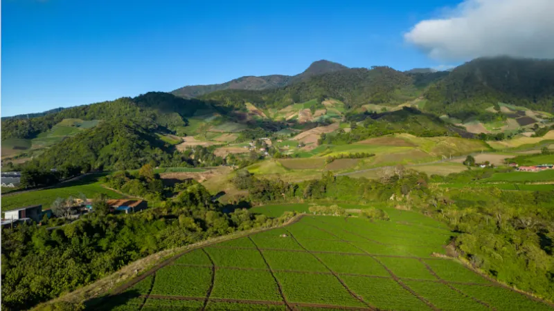 Farmland aerial view in Cerro Punta, Chiriqui, Panama