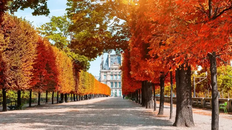 Scenic tree-lined promenade framed by vibrant orange and red autumn foliage.