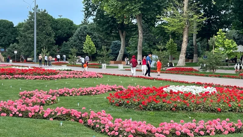Flowers In Bloom at Registan Park, Samarkand Uzbekistan