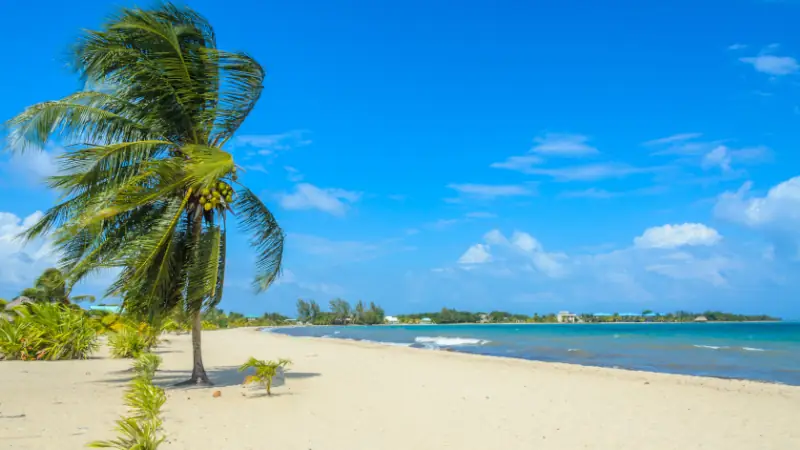 Paradise beach in Placencia, tropical coast of Belize, Caribbean Sea, Central America. 