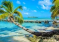Belize Cayes - Paradise beach on island caye Carrie Bow Cay Field Station, Caribbean Sea, Belize one of the best places to live in Belize