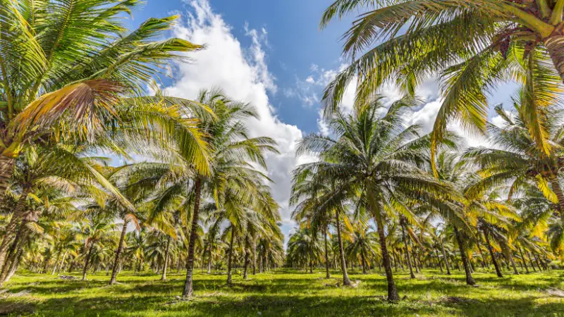 Road trip through wonderful Belize