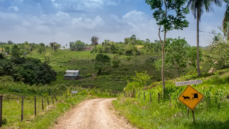 Lonely backroad in the Cayo District of Belize near Mennonite settlement of Spanish Colony. 