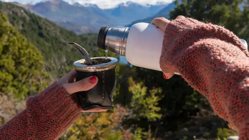 Hands holding a mate with Argentine yerba, with mountains and lakes in the background. Patagonia, Argentina