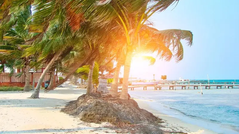 A yellow sand beach in Belize. move to belize