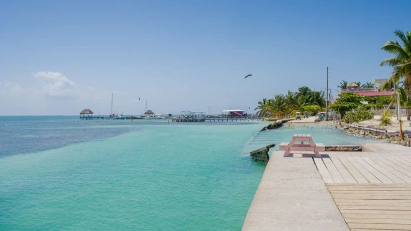 Belize Caye Caulker green sea. Live In Belize