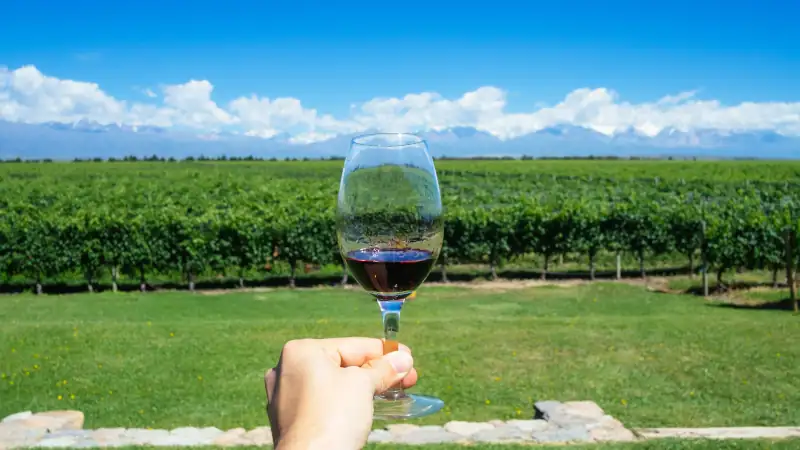 Masculine hand holding glass of wine with Andes and Winery on the Background in Mendonza, Argentine
