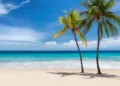 Tropical white sand beach with coco palms and the turquoise sea on Caribbean island.