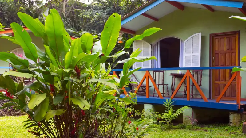 Small, colorful house in Brazil with a porch, wooden chairs, and lush tropical plants in the foreground.